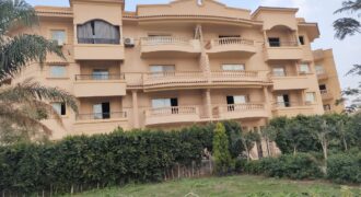 شقة ١٥٥م جانبي أرضي بحديقة ٢٠م بالمنطقة السادسة عمارات