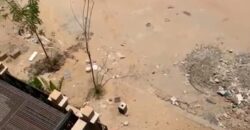 شقة روف 240 في المنطقة الثامنة في الشروق شقة روف 240 في المنطقة الثامنة في الشروق