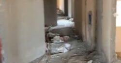 شقة روف 240 في المنطقة الثامنة في الشروق شقة روف 240 في المنطقة الثامنة في الشروق