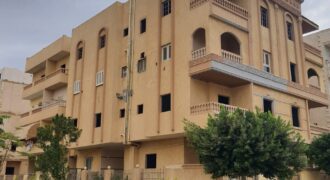 شقة ١٢٥م خلفي جانبي علي حديقة بموقع مميز جدا بالمنطقة الثامنة شقة ١٢٥م خلفي جانبي علي حديقة بموقع مميز جدا بالمنطقة الثامنة