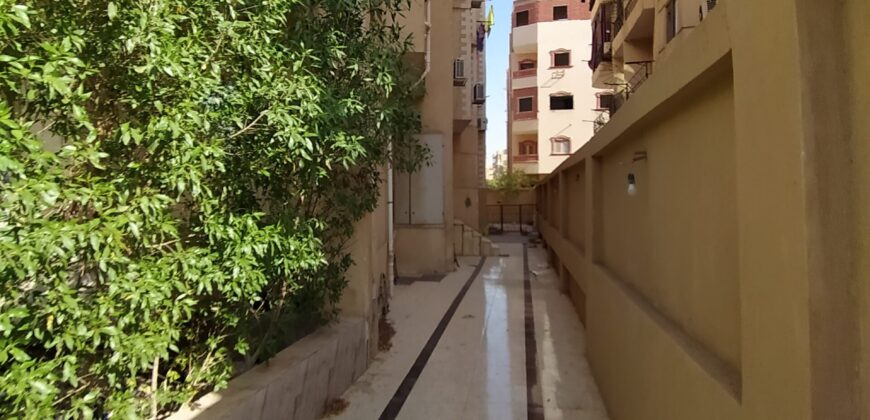 شقة ٢١٥ م لعشاق المساحات الكبيرة وبسعر مميز فى المنطقة التاسعة شقة ٢١٥ م لعشاق المساحات الكبيرة وبسعر مميز فى المنطقة التاسعة