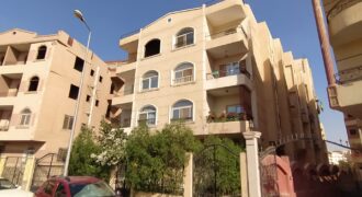 شقة ارضى مرتفع 175 م فى المنطقة التاسعة بلوكيشن مميز