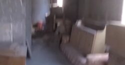 شقة 220م للبيع ارضي بجاردن في الحي الثالث شرق شقة 220م للبيع ارضي بجاردن في الحي الثالث شرق