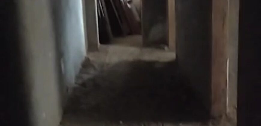 شقة 220م للبيع ارضي بجاردن في الحي الثالث شرق شقة 220م للبيع ارضي بجاردن في الحي الثالث شرق