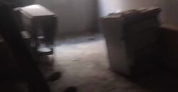 شقة 220م للبيع ارضي بجاردن في الحي الثالث شرق شقة 220م للبيع ارضي بجاردن في الحي الثالث شرق