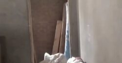 شقة 220م للبيع ارضي بجاردن في الحي الثالث شرق شقة 220م للبيع ارضي بجاردن في الحي الثالث شرق