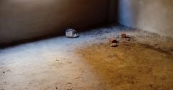 شقة 195م للبيع ارضي بجاردن في الحي الثالث شرق شقة 195م للبيع ارضي بجاردن في الحي الثالث شرق