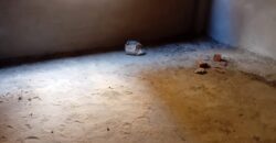 شقة 195م للبيع ارضي بجاردن في الحي الثالث شرق شقة 195م للبيع ارضي بجاردن في الحي الثالث شرق