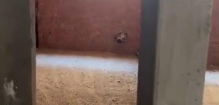 شقة 195م للبيع ارضي بجاردن في الحي الثالث شرق