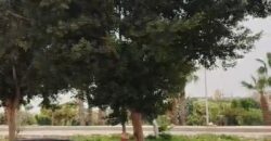 شقة للبيع 150م دور اول خلفي في الحي الثالث غرب في الشروق