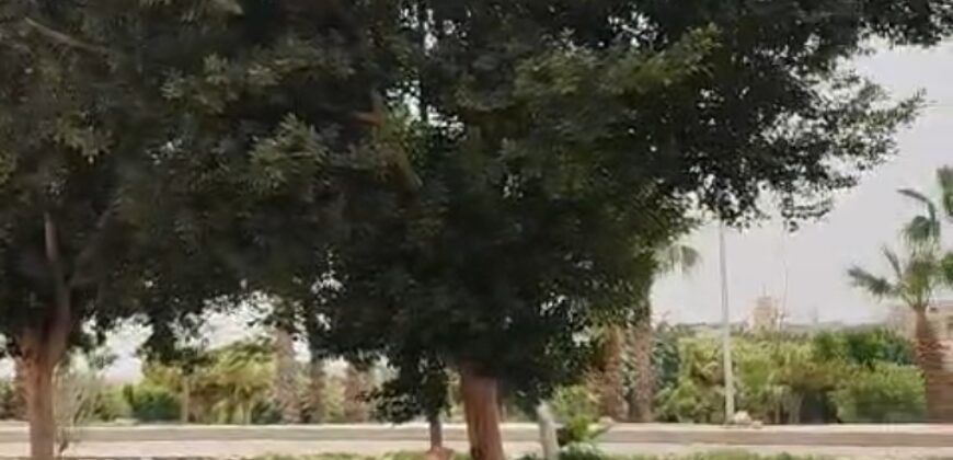 شقة للبيع 150م دور اول خلفي في الحي الثالث غرب في الشروق