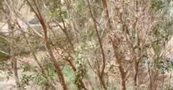 شقة للبيع 150م دور اول خلفي في الحي الثالث غرب في الشروق