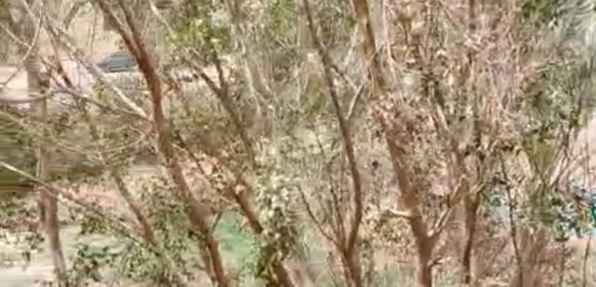 شقة للبيع 150م دور اول خلفي في الحي الثالث غرب في الشروق