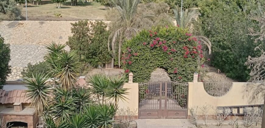 فيلا توين هاوس للبيع – الحي الثالث غرب – مدينة الشروق | تشطيب سوبر لوكس