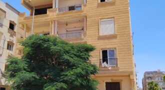 شقة للبيع 175م – المنطقة الثامنة عمارات – مدينة الشروق