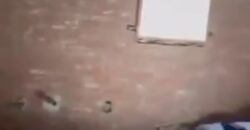 شقة للبيع 220م دور اول في المنطقة التاسعة عمارات في الشروق