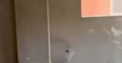 شقة للبيع 220م دور اول في المنطقة التاسعة عمارات في الشروق
