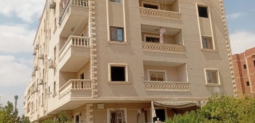 دوبليكس في المنطقة التاسعة للبيع 350م + 130م