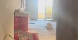 شقة للبيع في الشروق 171م في المنطقة الرابعة عمارات في الشروق