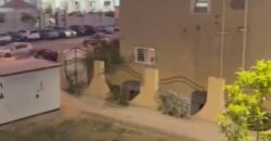 شقة مميزة للبيع في مدينة الشروق – المنطقة الثامنة عمارات